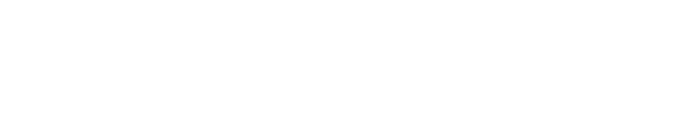 Your Online Partner